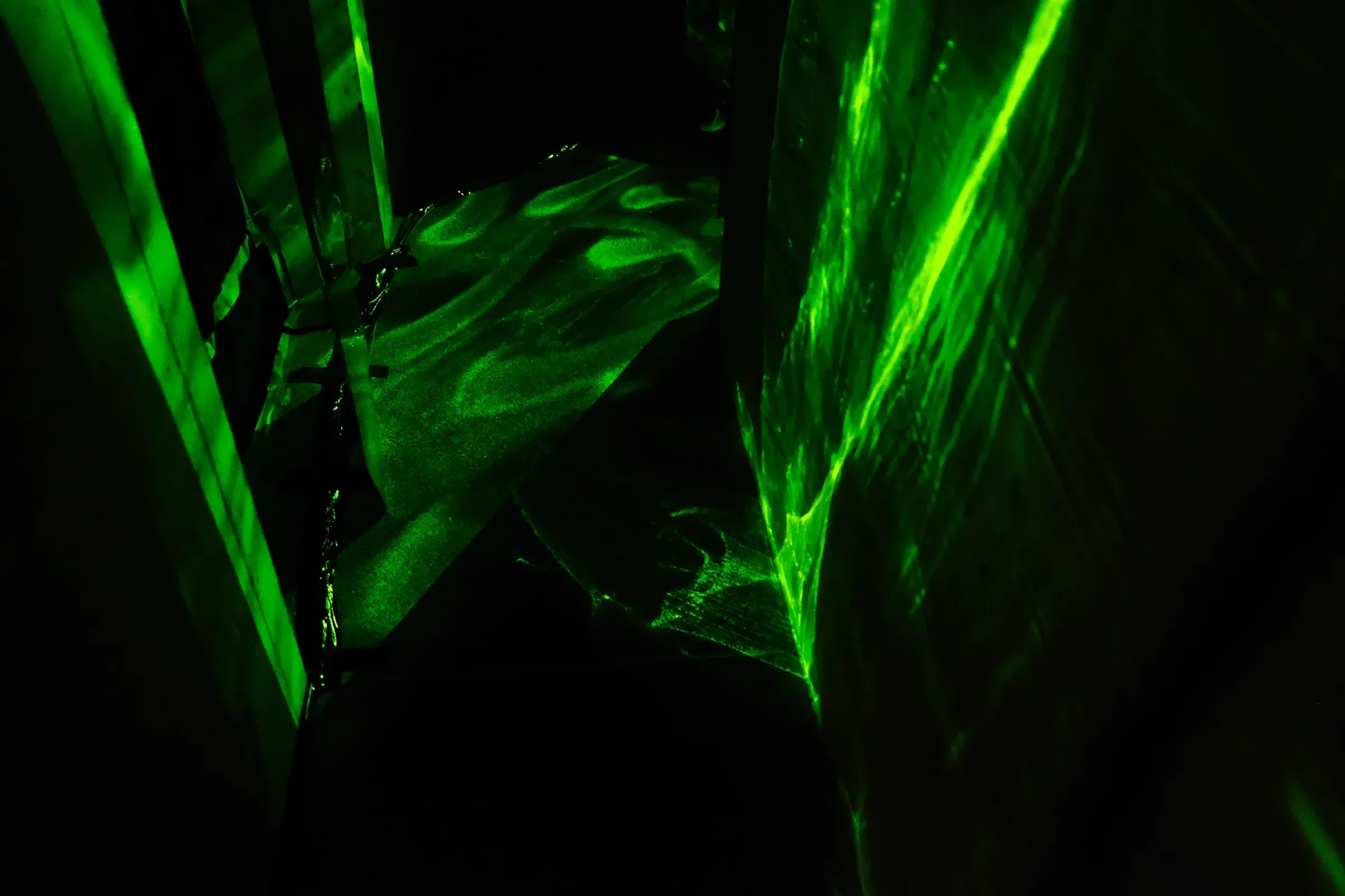 Biolumineszenz-Projektion auf der Spiegelfolie