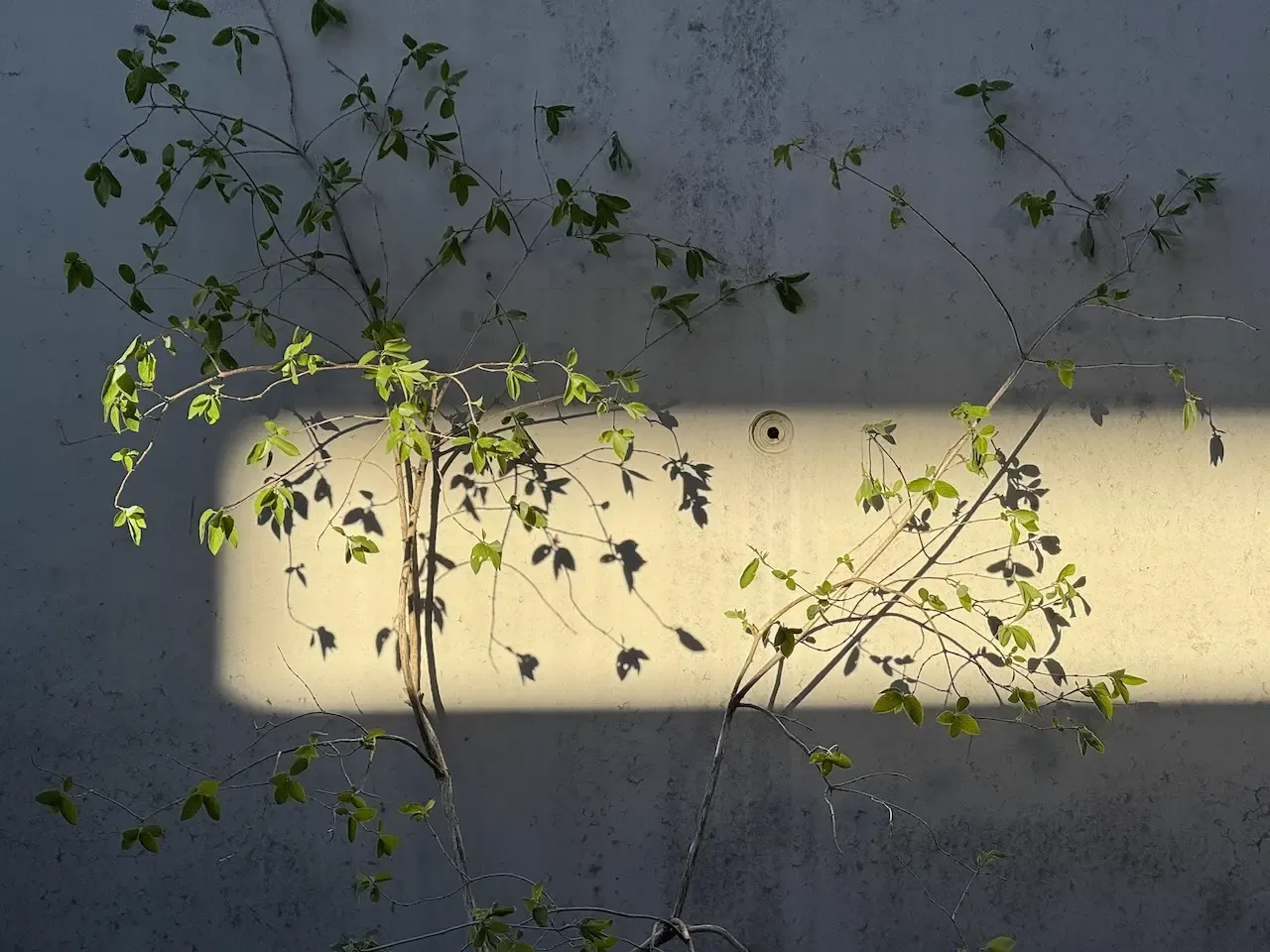 Raumfragment — Kellergarten Heiterwang