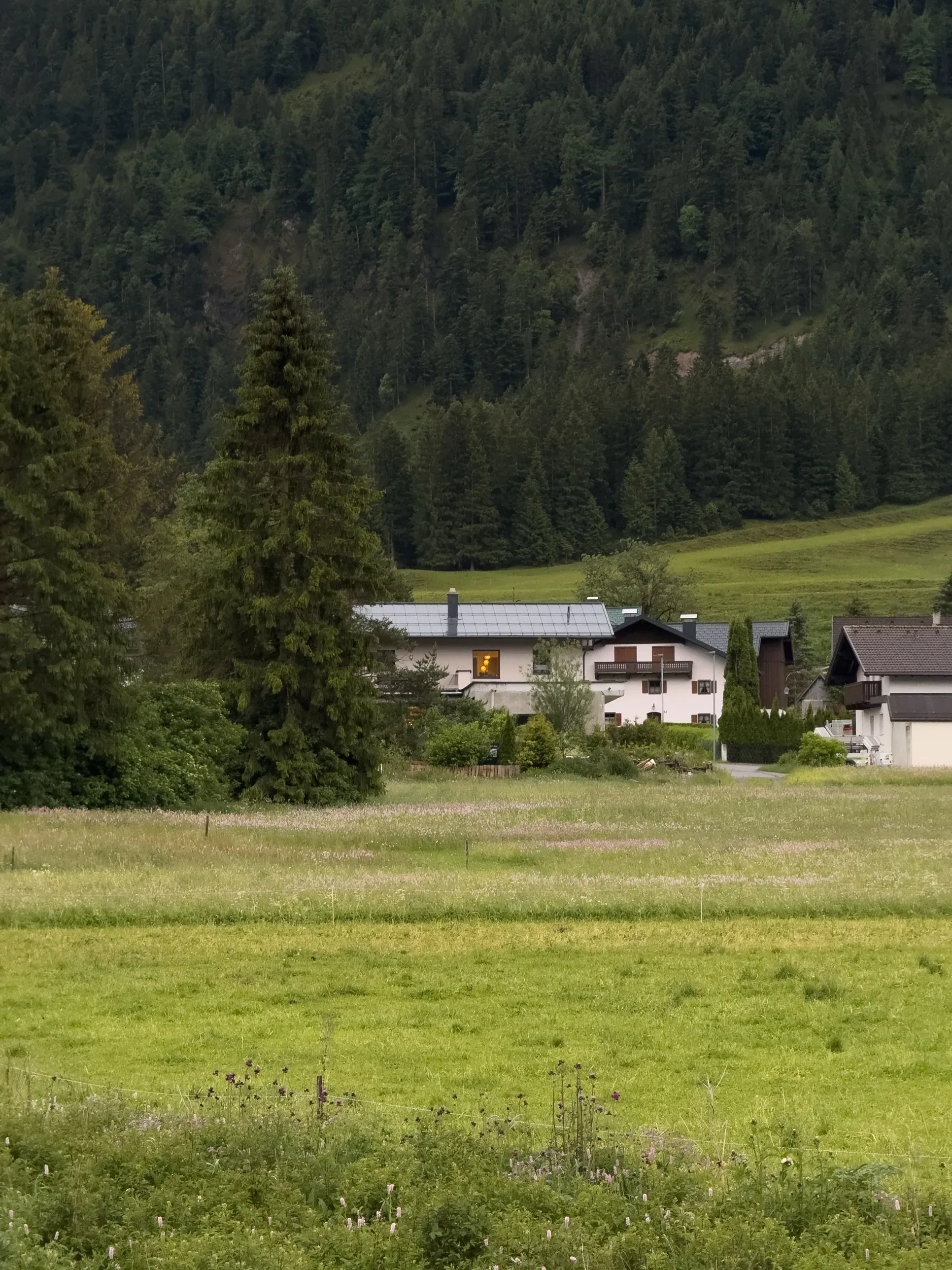 Haus am Garten über die Wiese gesehen, zwischen Bäumen unter dem Waldhang, ein Fenster ist erleuchtet