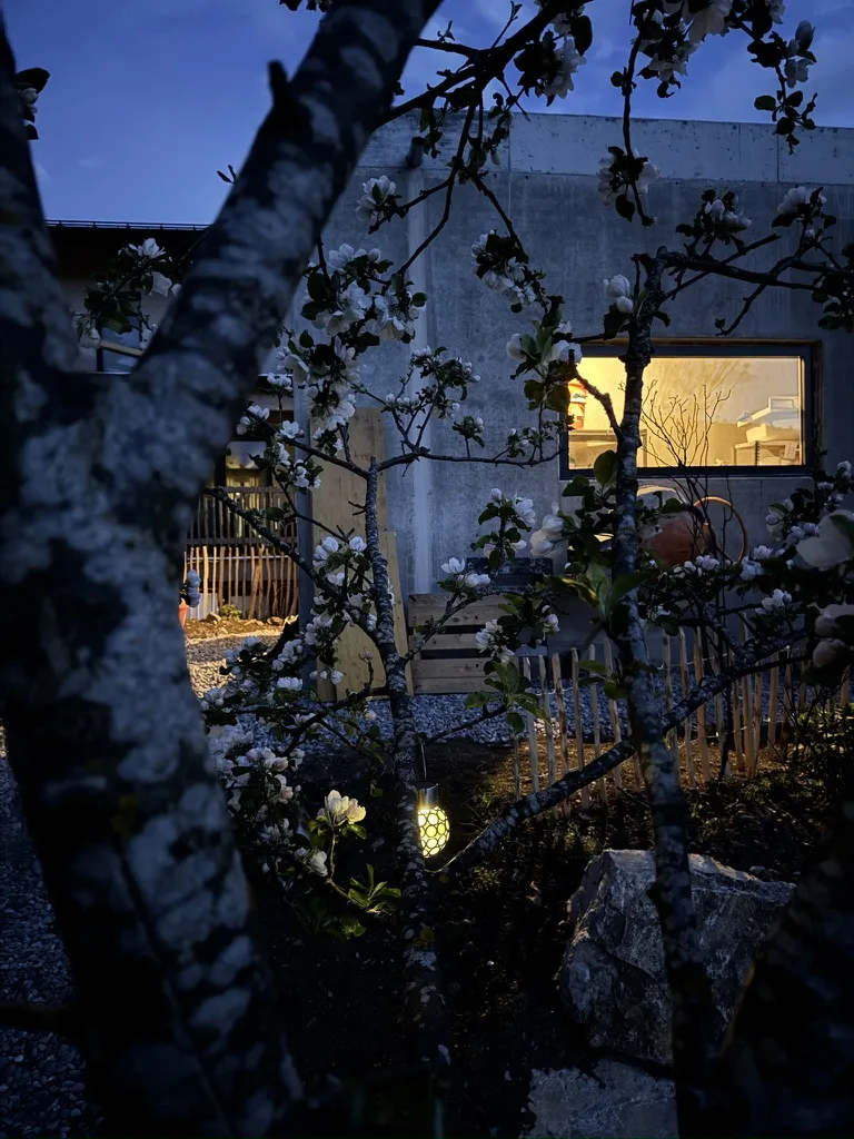 Abenddämmerung vom Garten aus